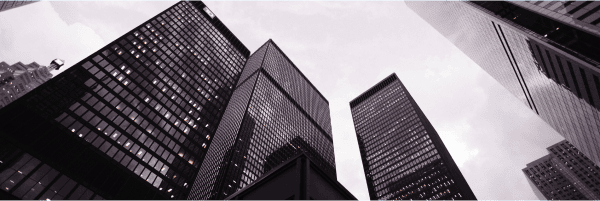 Enterprise software development