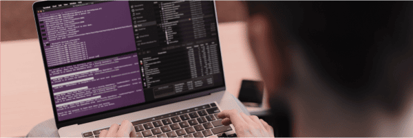 Custom web development