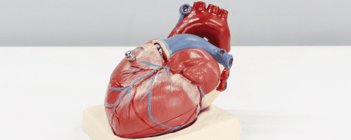 education-project-image