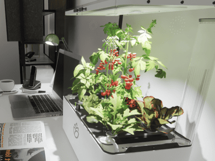 Smart hjemmehage for å dyrke planter uten jord