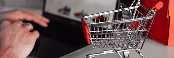 Shopping cart software