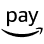 amazon pay icon