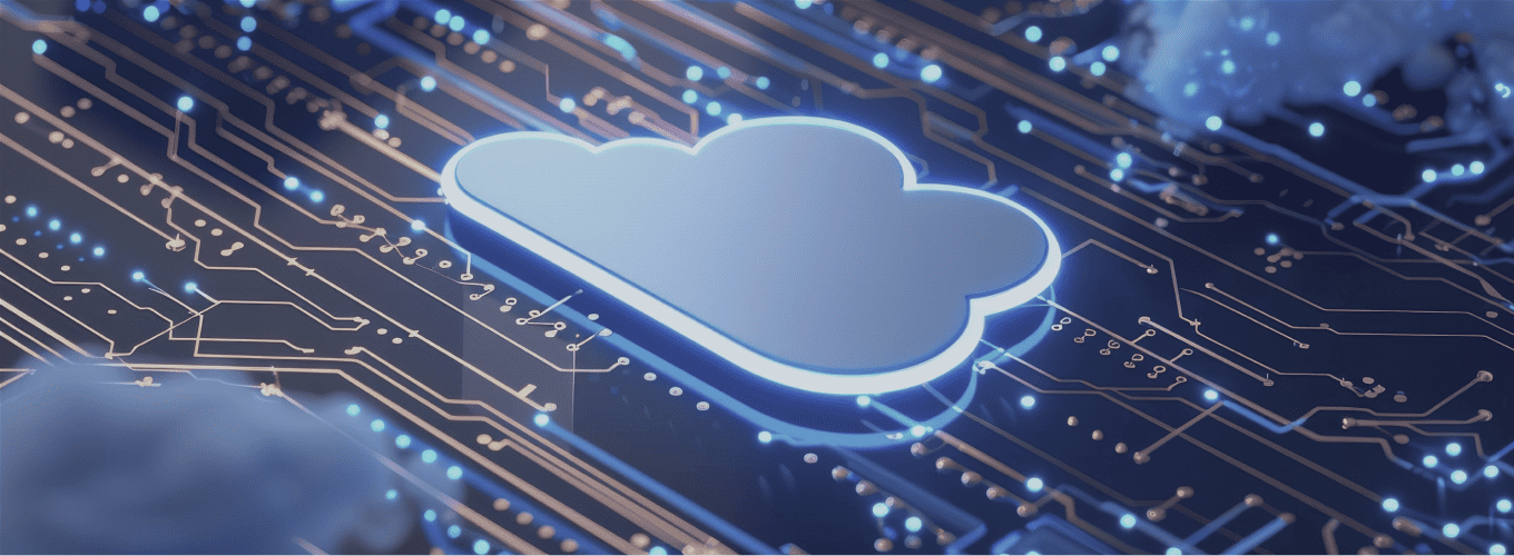 ERP data migration