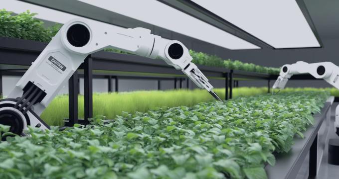 IoT sensors and robots adjust lighting and watering in vertical farms for optimal plant growth