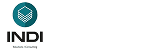 INDI Solutions & Consulting logo