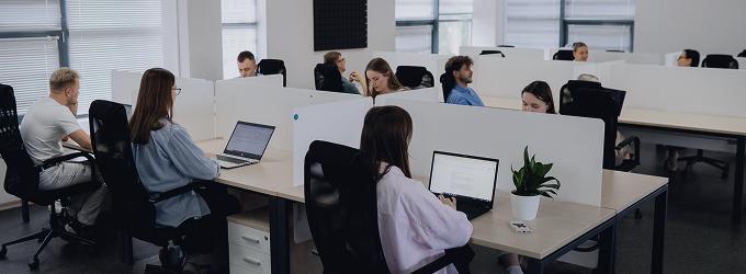 Software engineers working on laptops at partitioned desks in a sunlit, open-plan office
