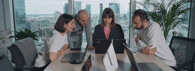 Usability testing