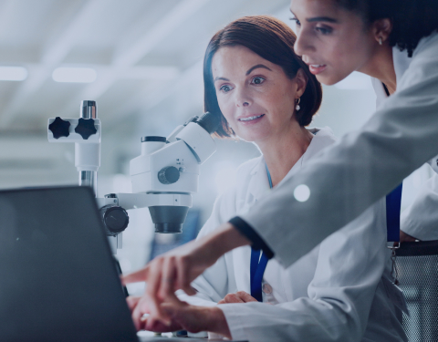 Automating molecular property prediction